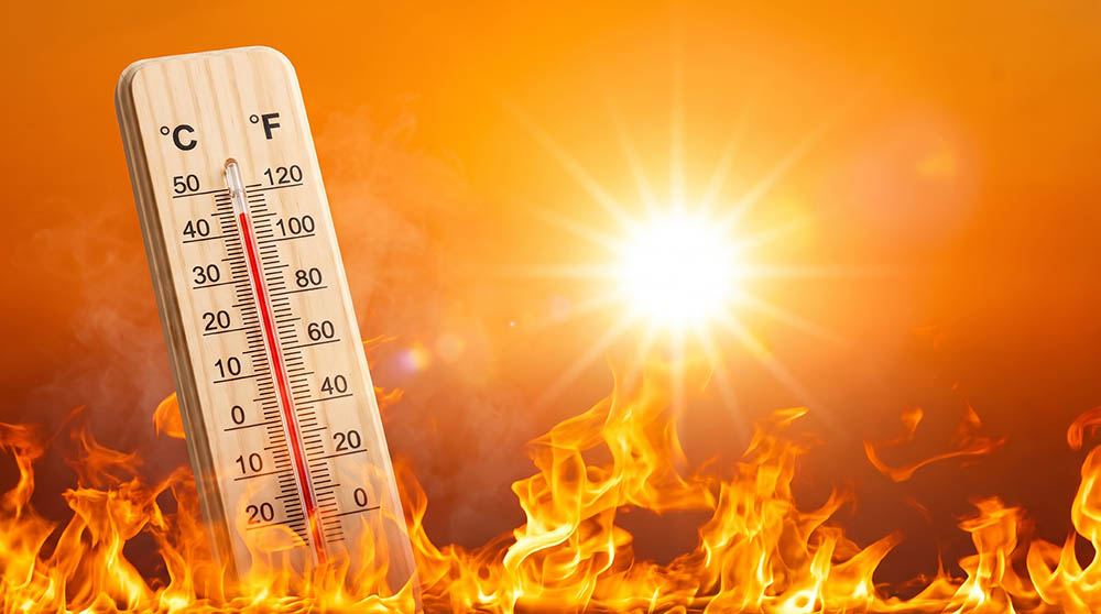 Francis Fire The Cheshire Extinguisher Company heatwave